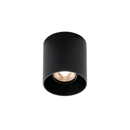 Maxlight C0281 BigFix