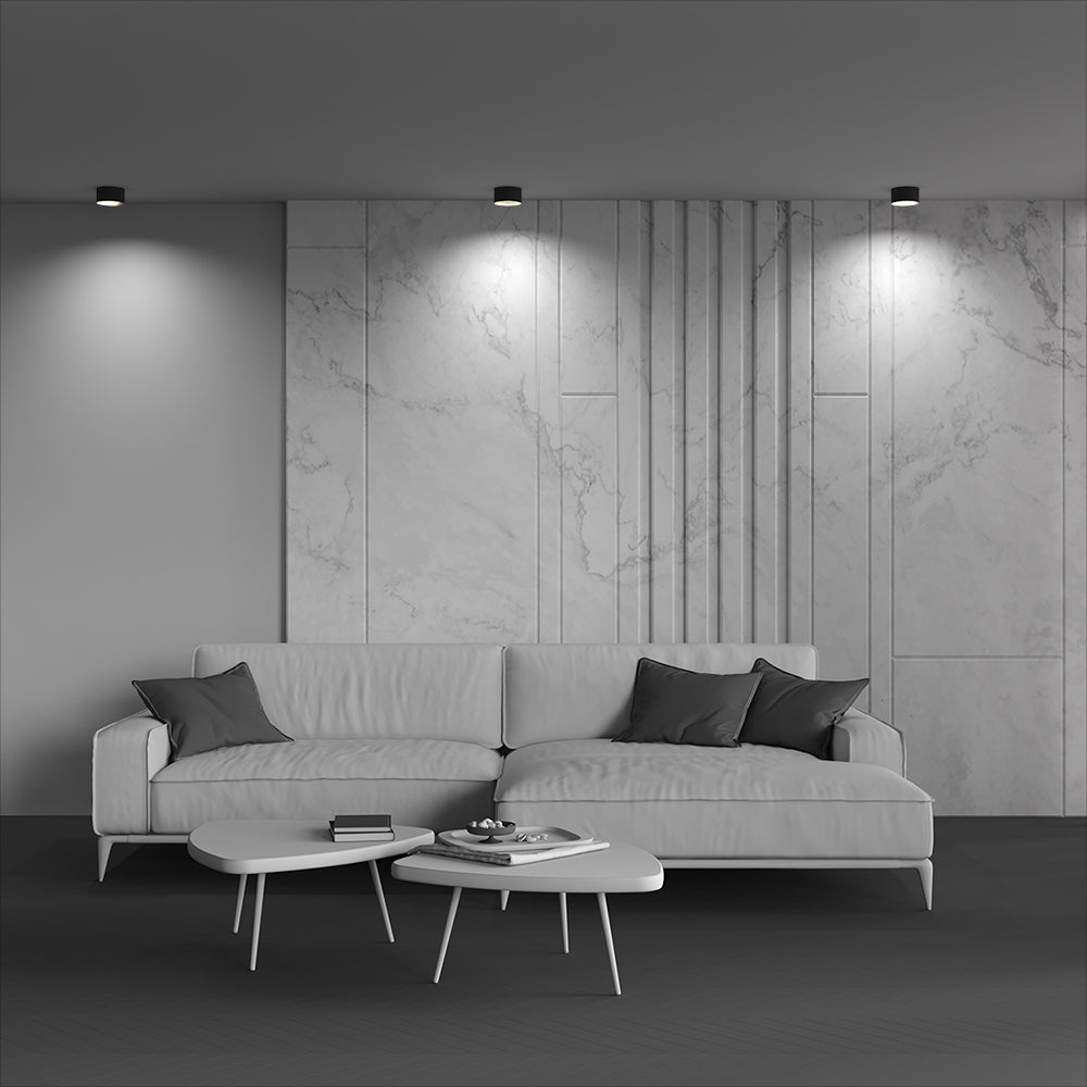 Ceiling luminaire C089CL-12W3K-B