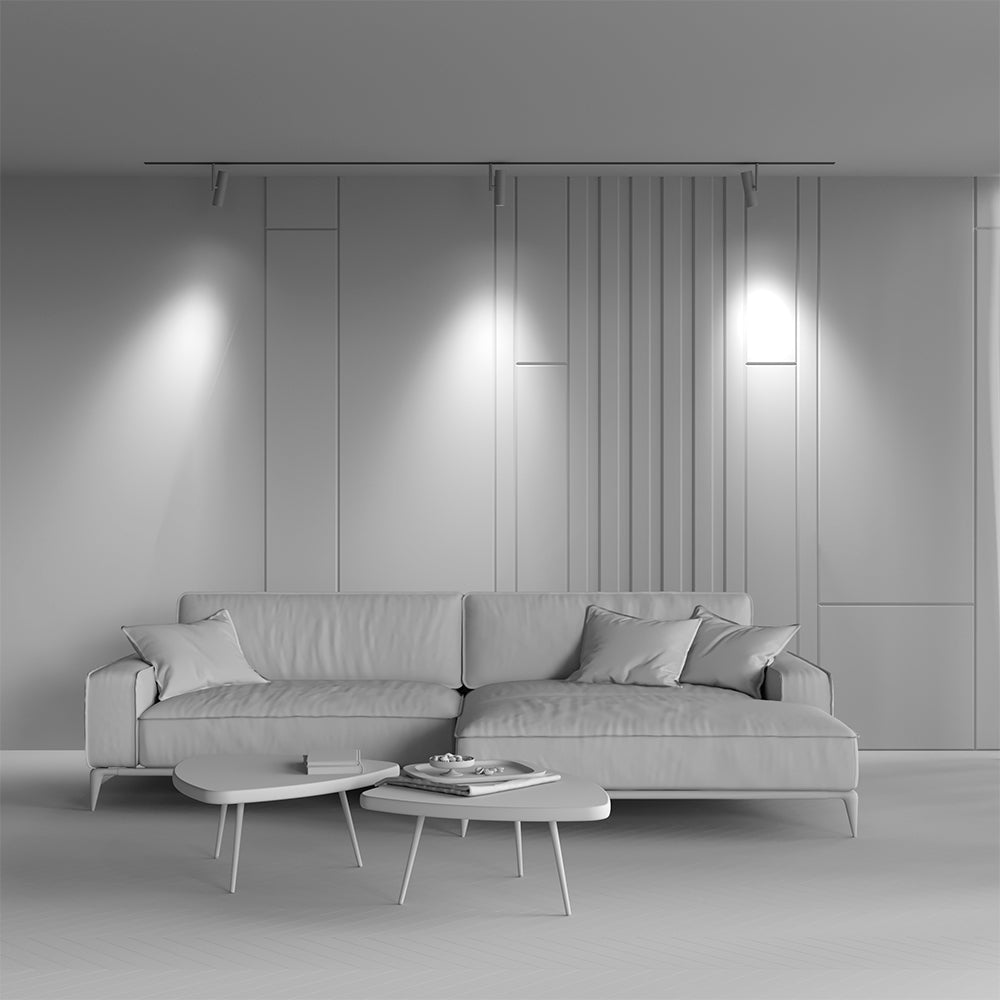 Track luminaire TR005-2-12W3K-BBS