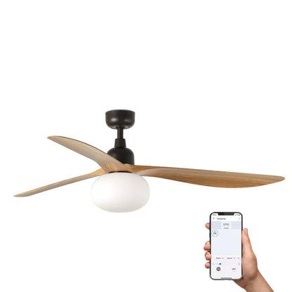 Ceiling fan with wooden blades and a hand holding a smartphone displaying a fan control app on a white background.