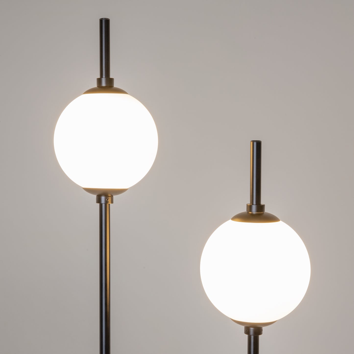 Floor Lamp Z020FL-L12BK