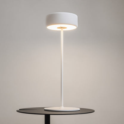 Laualamp MOD229TL-L3W3K2