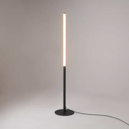 Floor Lamp Z012FL-L18B3K