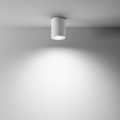 Ceiling luminaire C016CL-01W