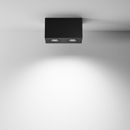 Ceiling luminaire C017CL-02B