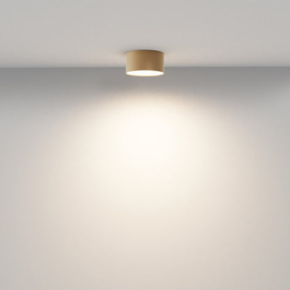 Ceiling luminaire C032CL-12W3K-RD-MG