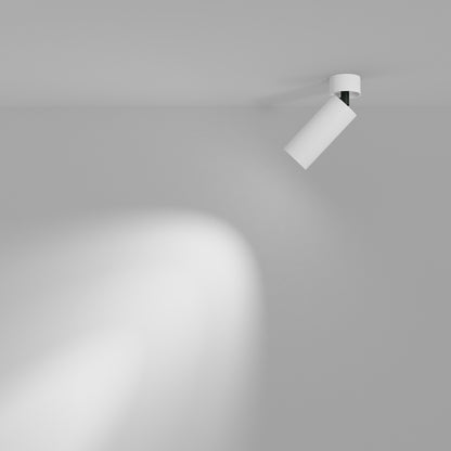 Ceiling luminaire C055CL-L12W3K-W-W