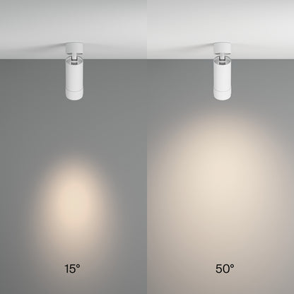 Ceiling luminaire C055CL-L12W4K-Z-W