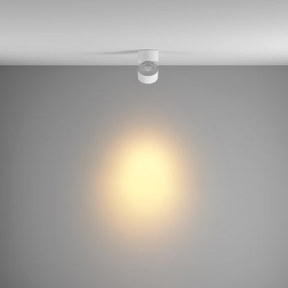 Ceiling luminaire C084CL-15W3K-D-W-DE