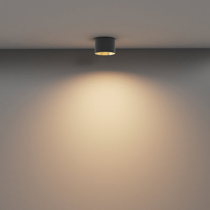 Ceiling luminaire C089CL-8W3K-BMG