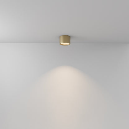 Ceiling luminaire C090CL-10W3K-MG