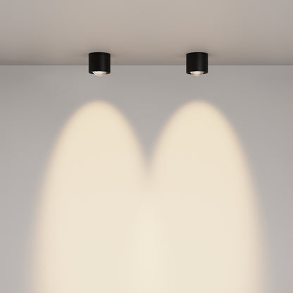 Ceiling luminaire C217CL-15W3K-B