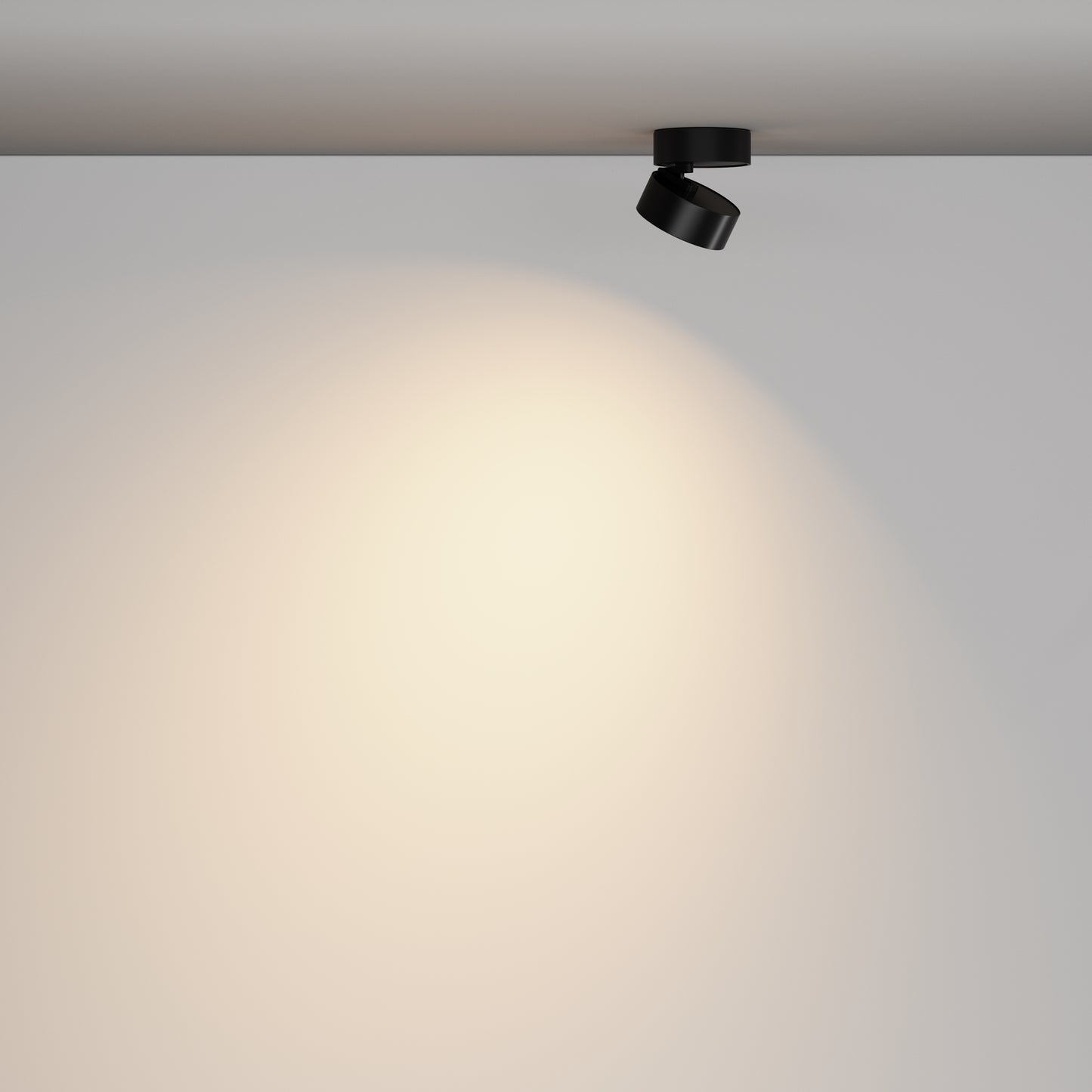 Ceiling luminaire C220CL-12W3K-B