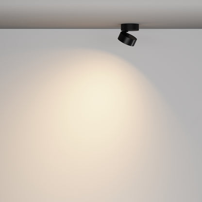 Ceiling luminaire C220CL-12W3K-B
