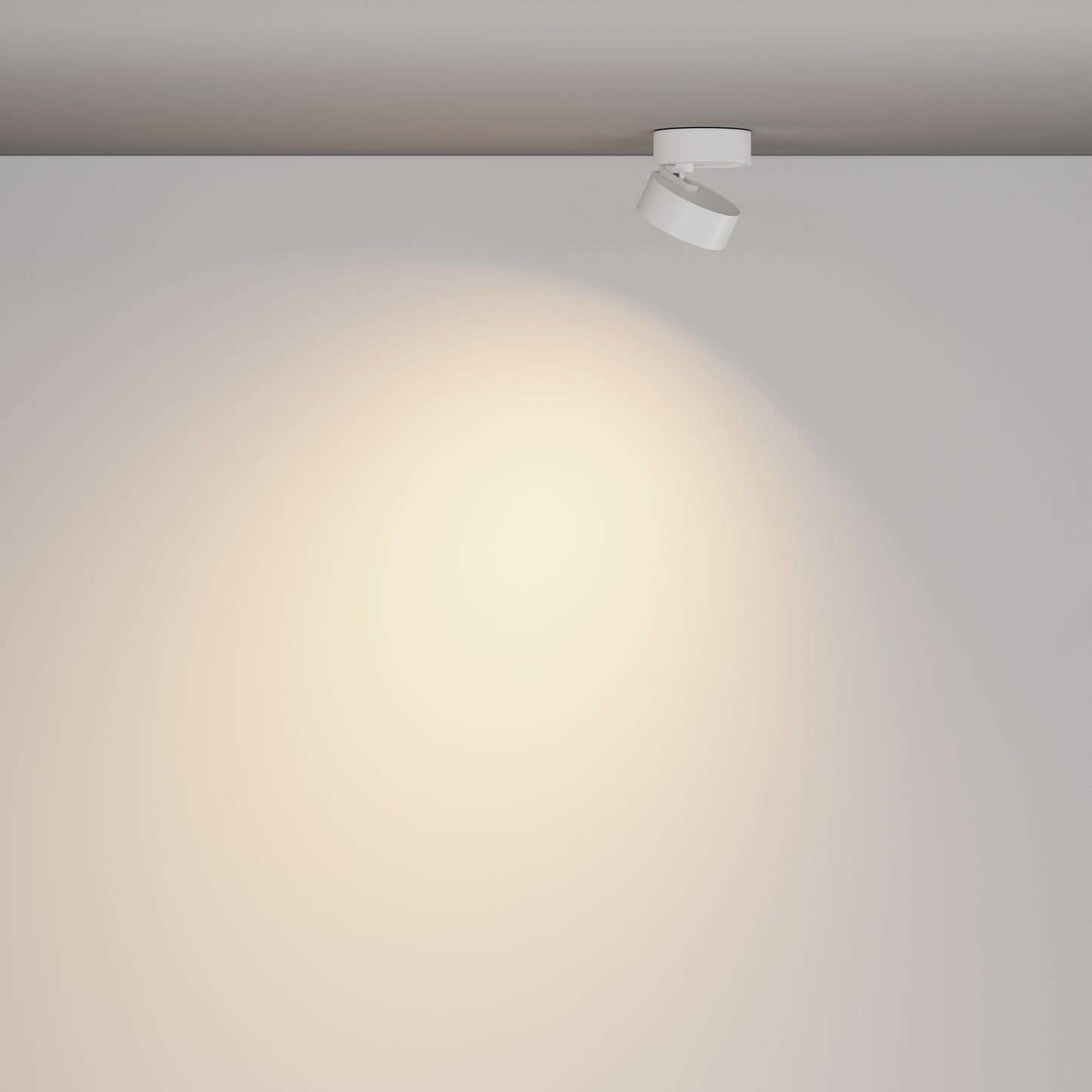 Ceiling luminaire C220CL-12W3K-W