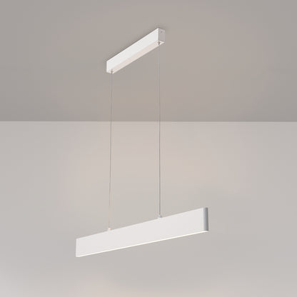 Ripatsvalgusti P010PL-L23W