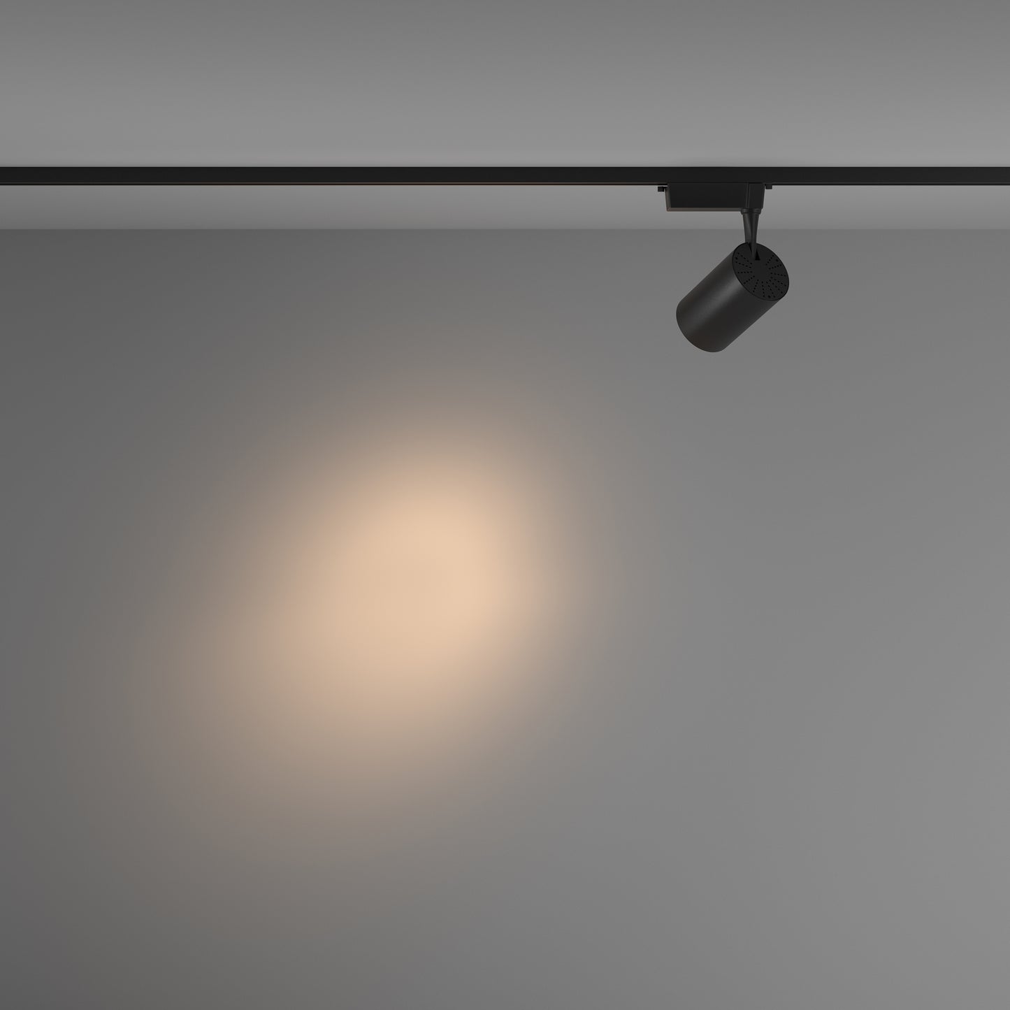 Track Lighting TR003-1-15W3K-S-B