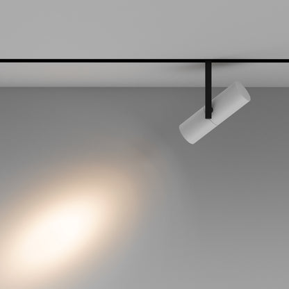 Track luminaire TR005-2-12W3K-BW