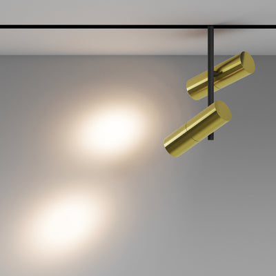 Track luminaire TR005-2-2X12W3K-BBS
