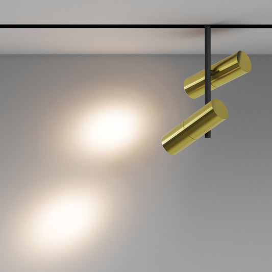 Track luminaire TR005-2-2X12W3K-BBS