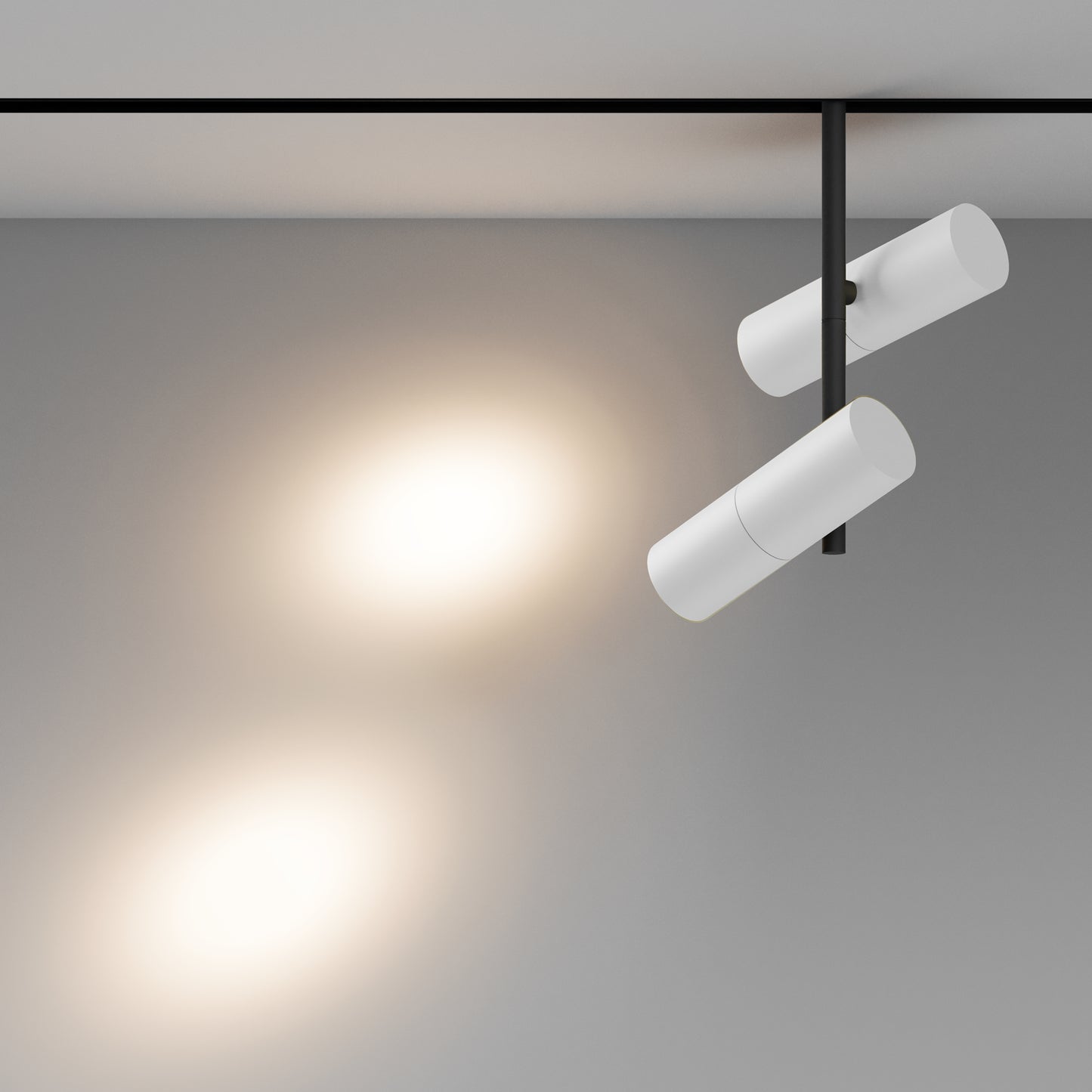 Track luminaire TR005-2-2X12W3K-BW