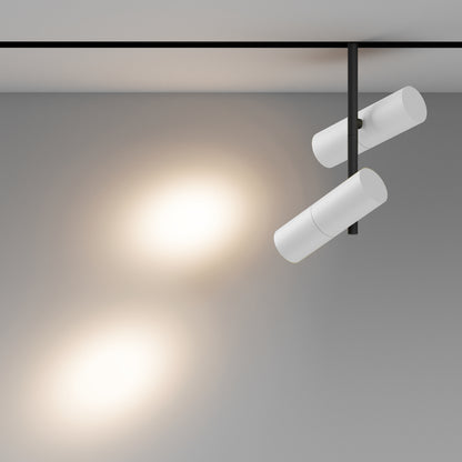 Track luminaire TR005-2-2X12W3K-BW