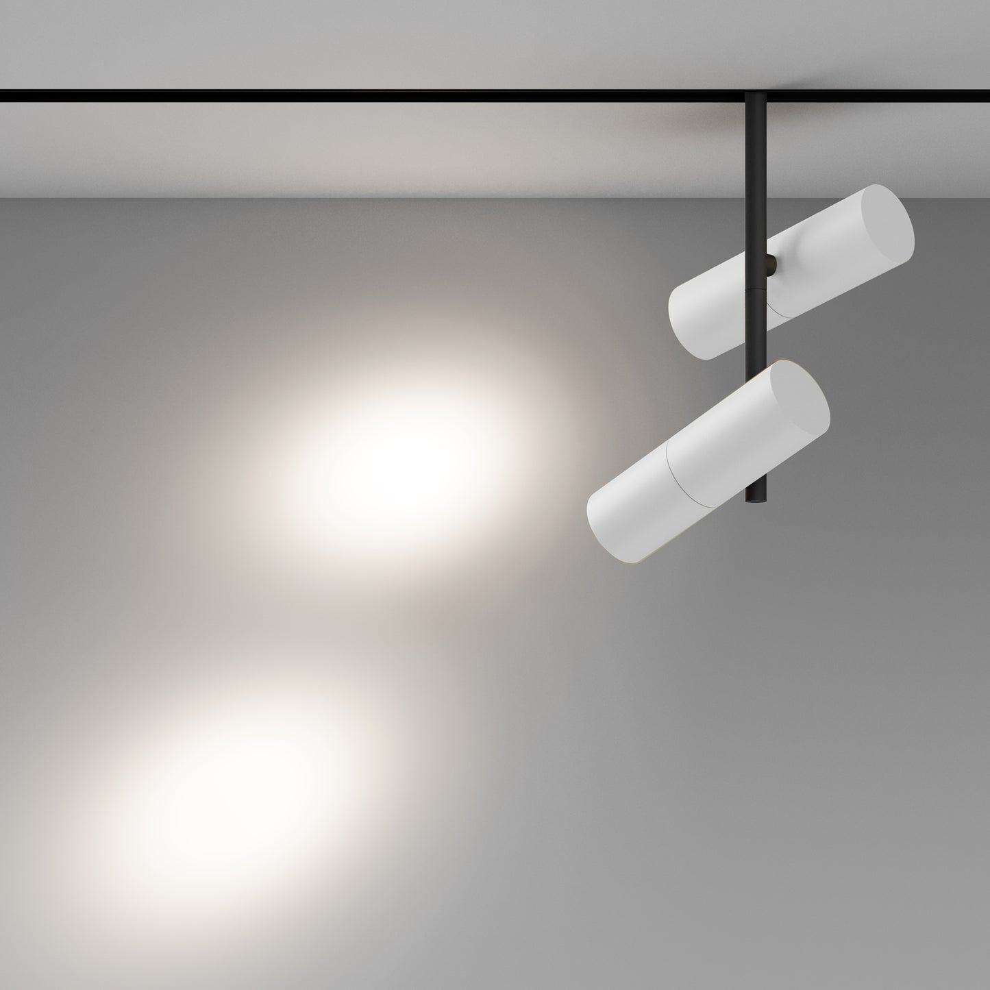 Track luminaire TR005-4-2X12W-DS-BW