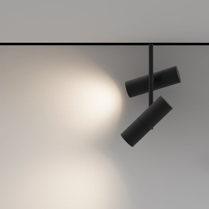 Track luminaire TR005-4-2X12W-DS-B