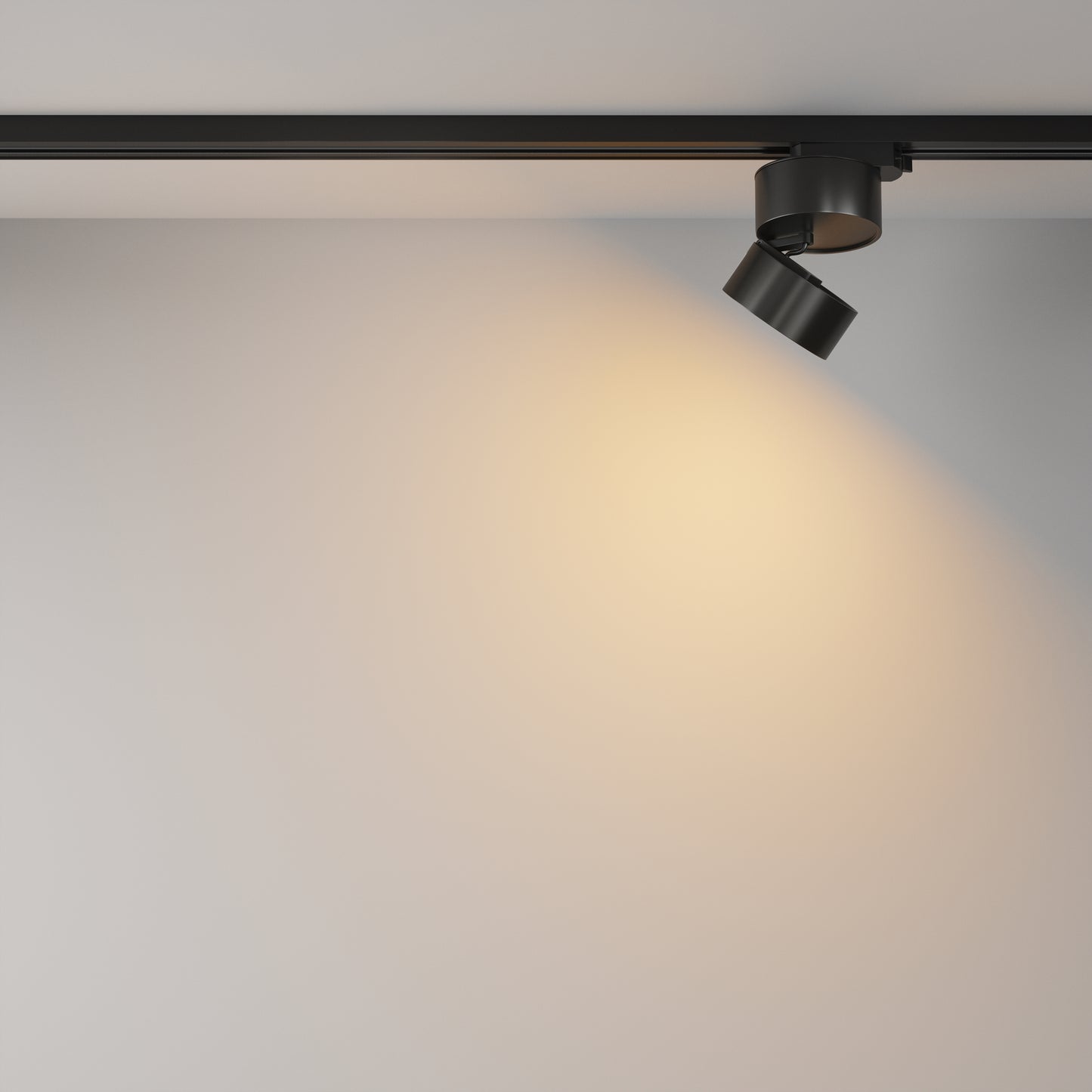 Track Lighting TR007-1-12W2.7K-B-1