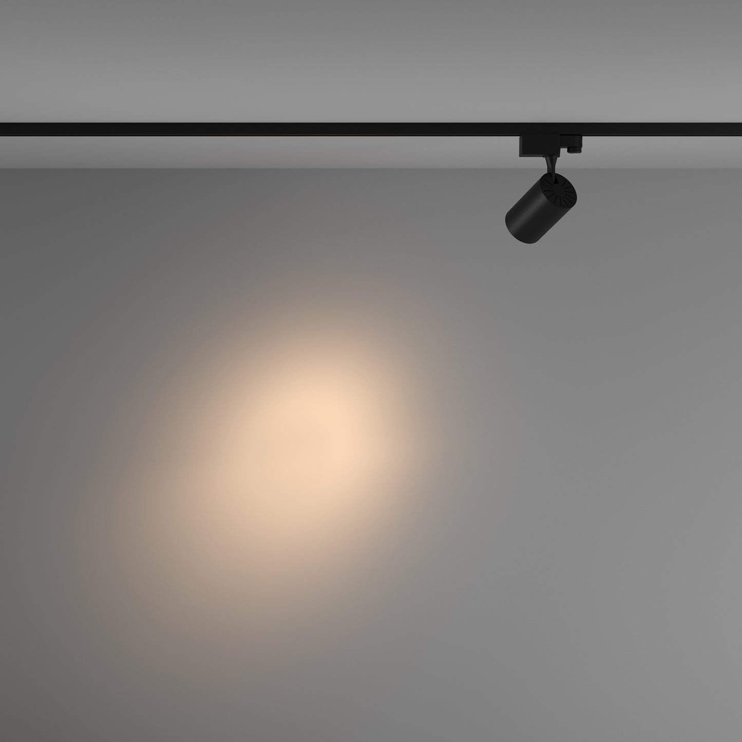 Track Luminaire TR029-3-10W3K-S-B
