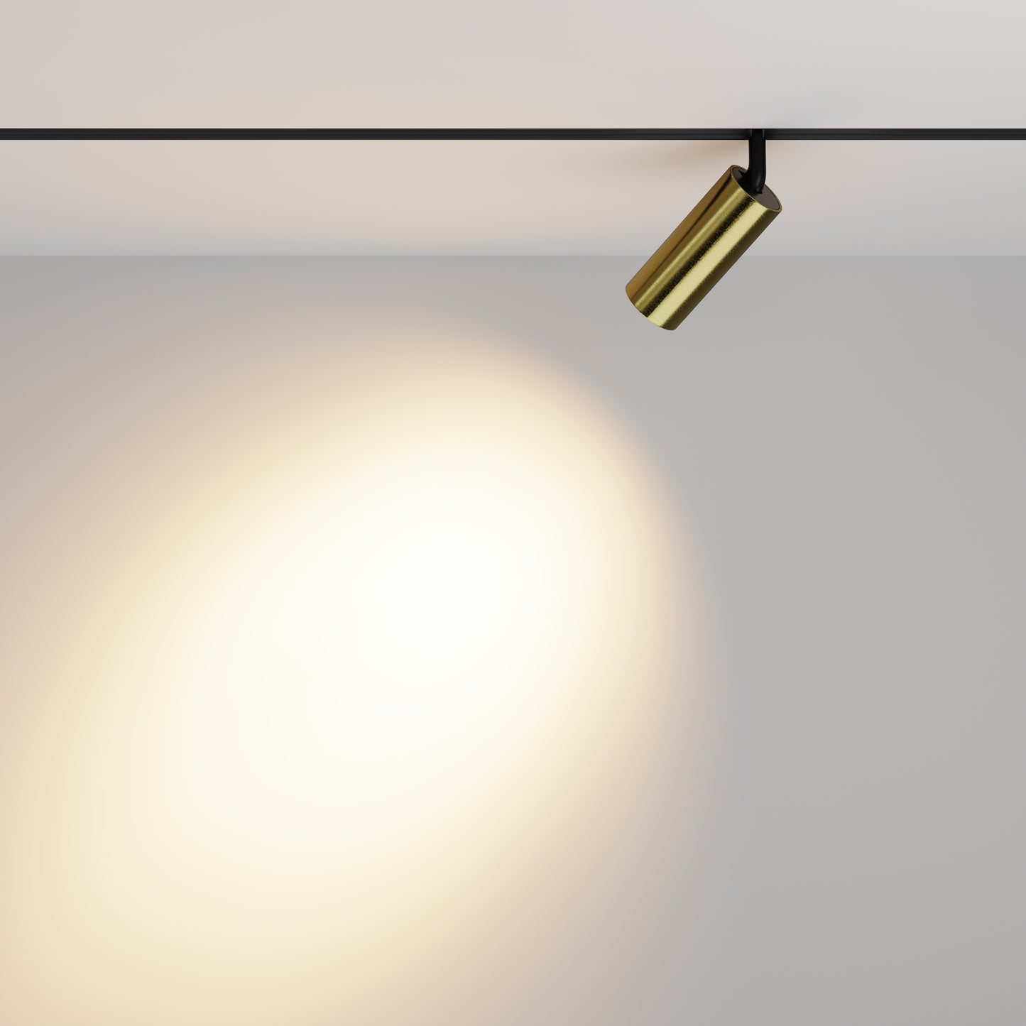 Track luminaire TR032-2-12W3K-M-BBS