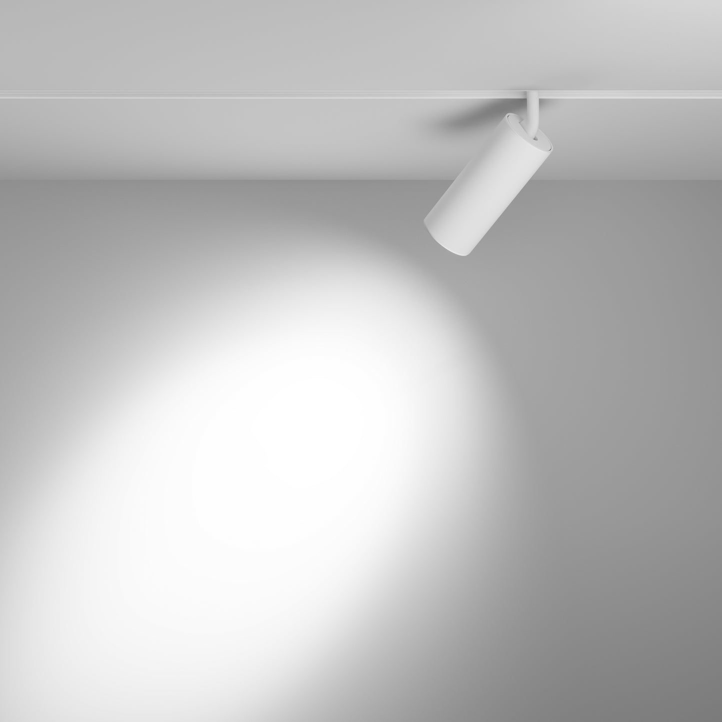 Track Luminaire TR032-4-20WTW-S-DD2-W