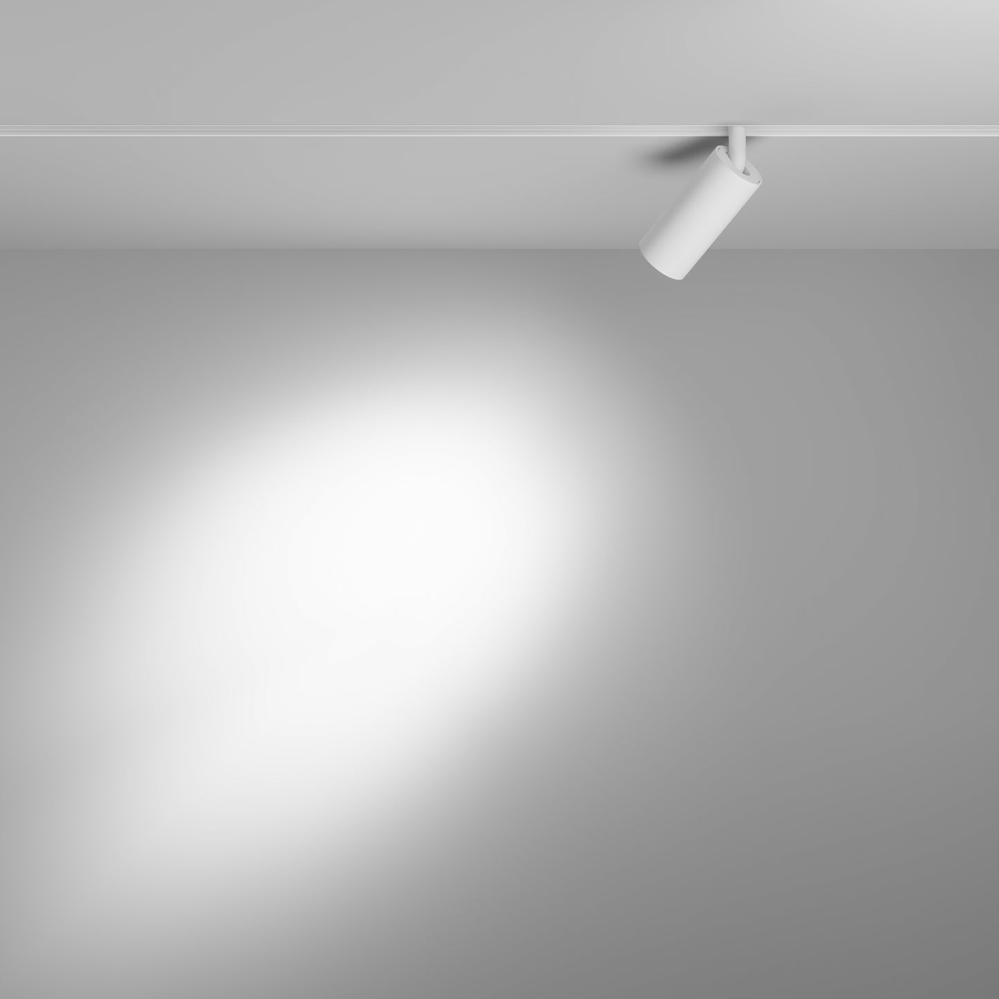 Track Luminaire TR032-4-5WTW-S-DD2-W