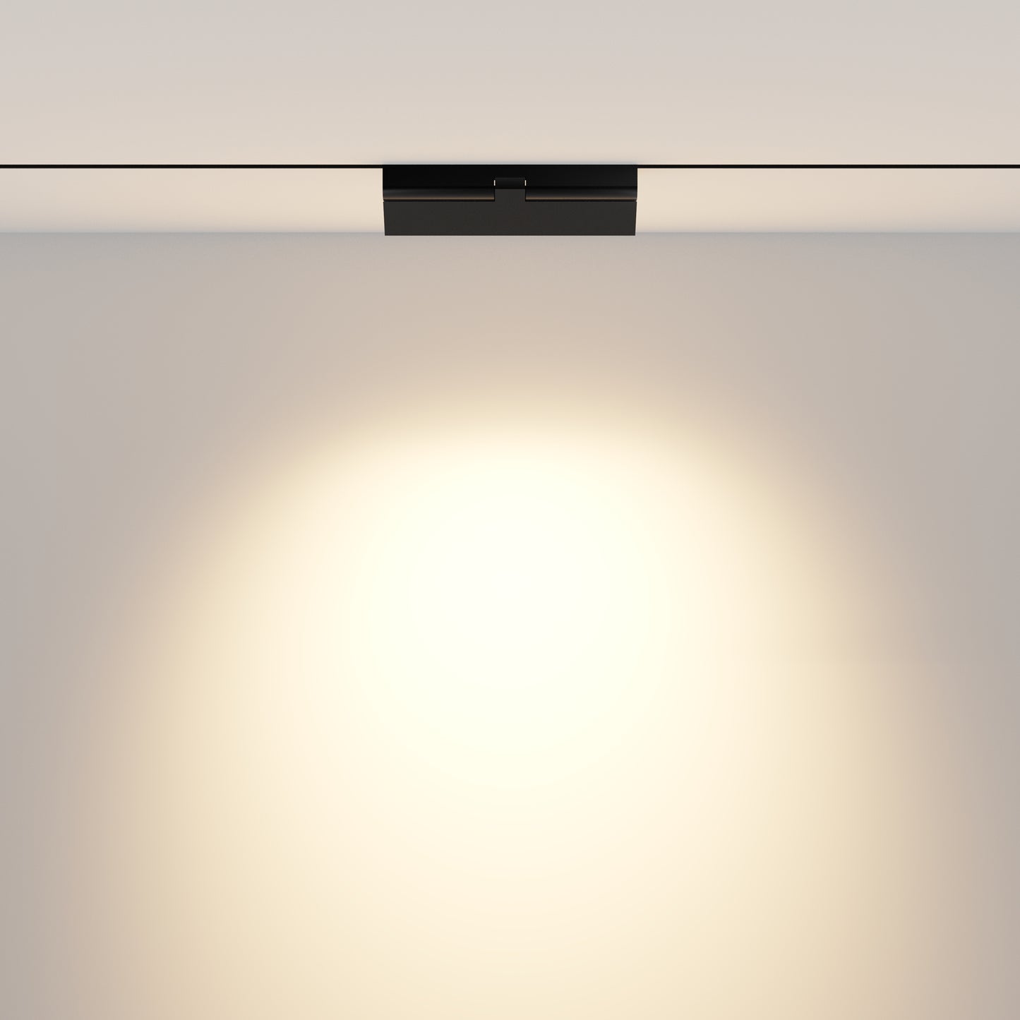 Track Luminaire TR033-4-12WTW-DD2-B