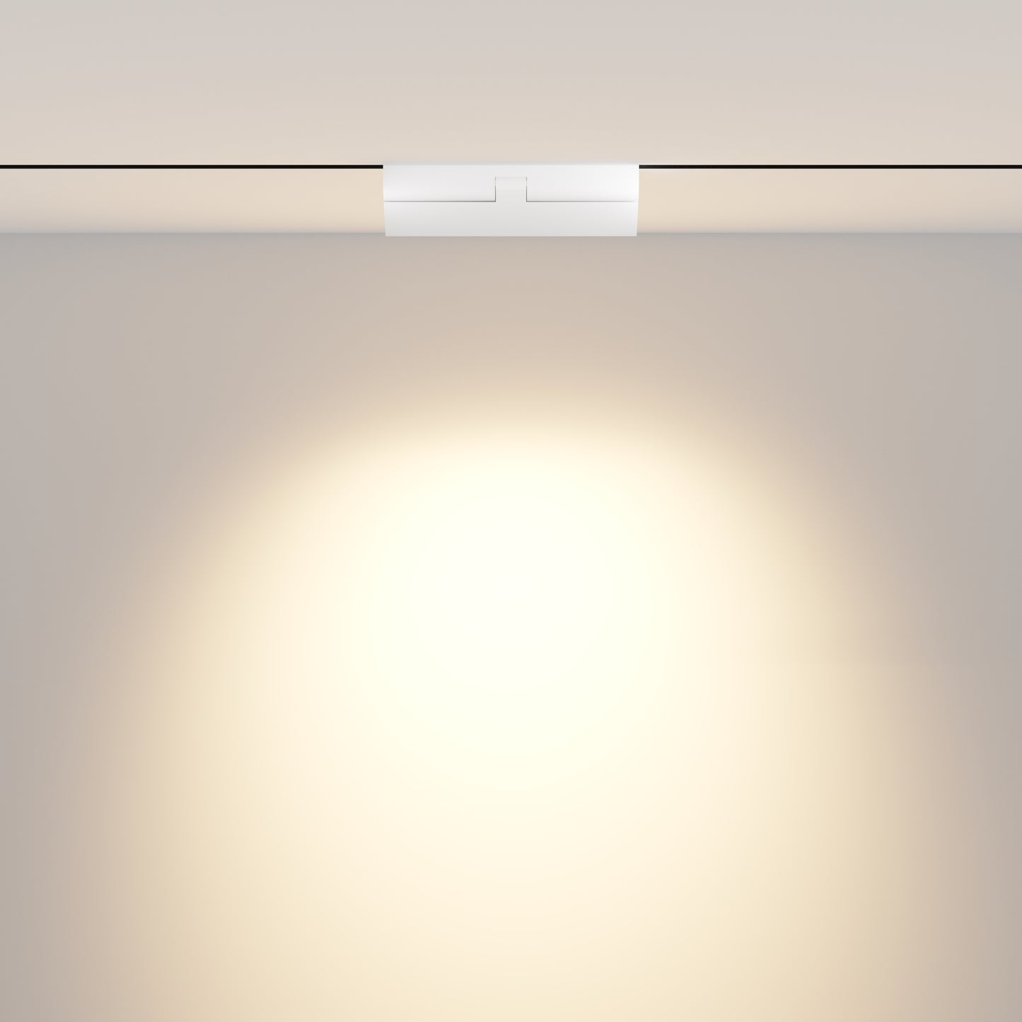 Track Luminaire TR033-4-12WTW-DD2-W
