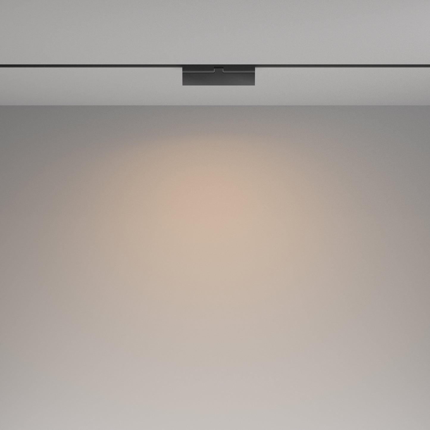 Track Luminaire TR036-4-12WTW-DD2-B