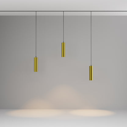 Pendant track luminaire TR041-2-12W3K-BBS
