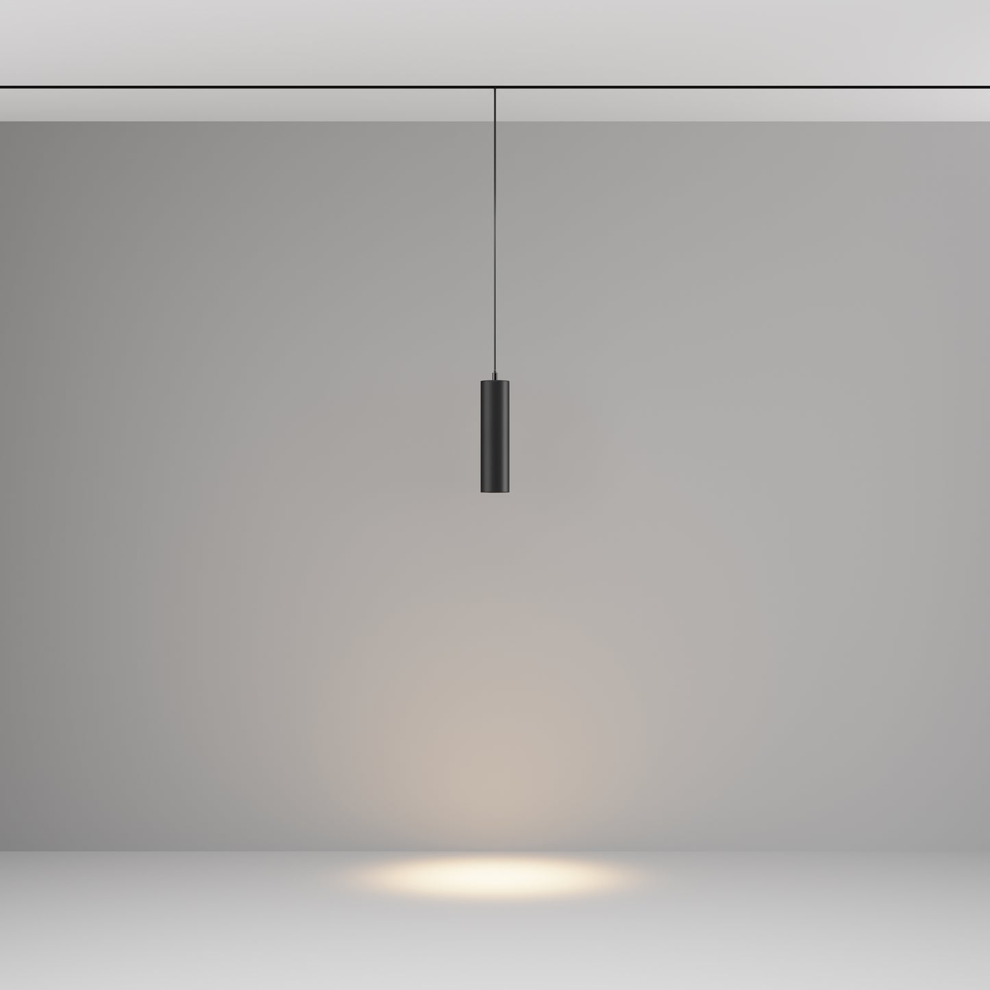 Pendant track luminaire TR041-2-12W3K-B