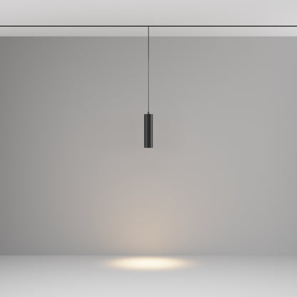 Pendant track luminaire TR041-2-12W3K-B