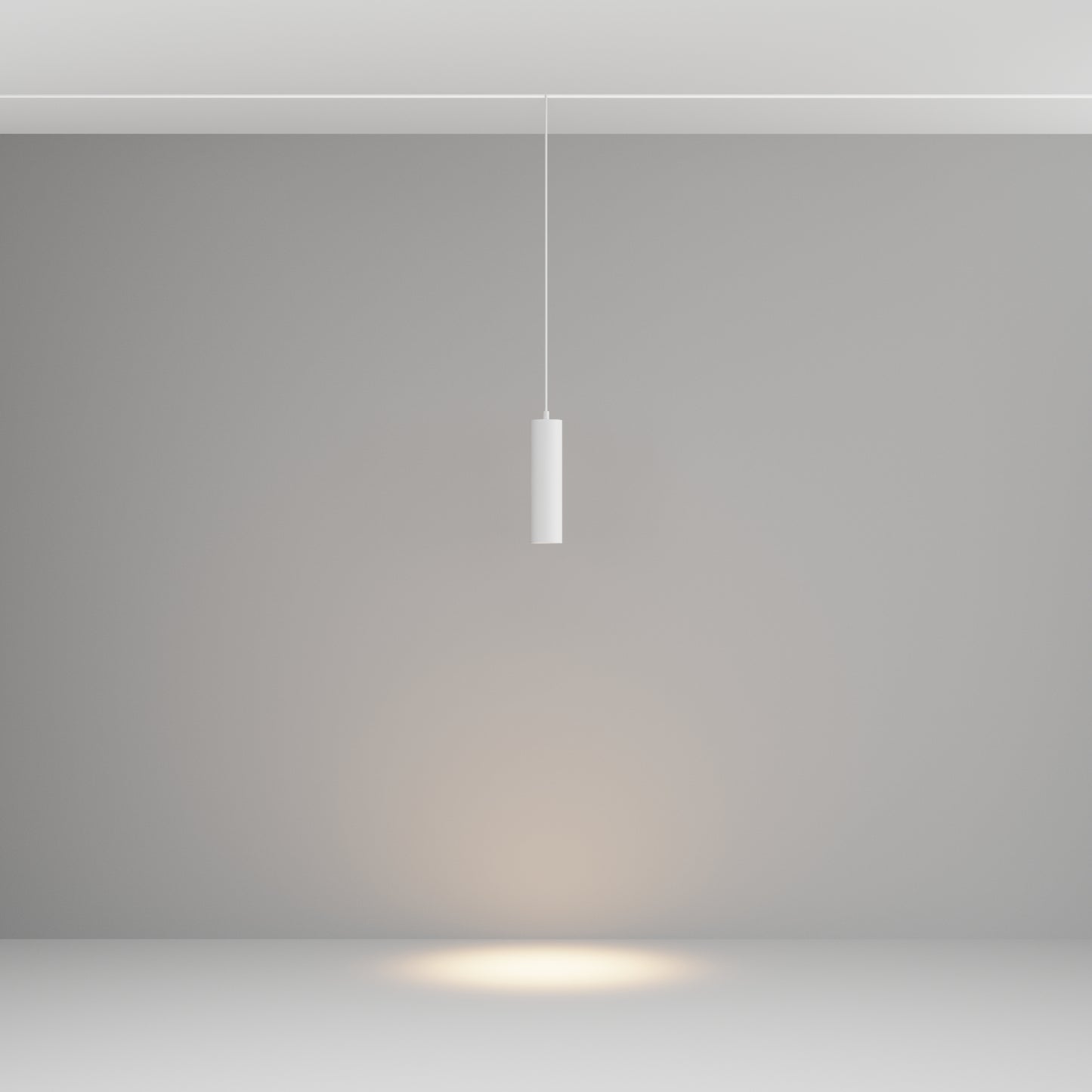 Pendant track luminaire TR041-2-12W3K-W
