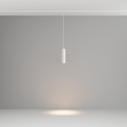 Pendant track luminaire TR041-2-12W3K-W