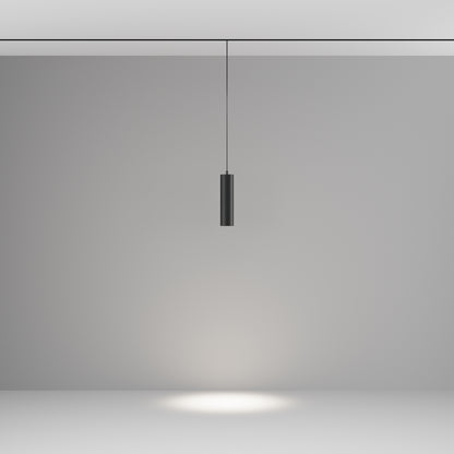 Pendant track luminaire TR041-4-12W3K-M-DS-B