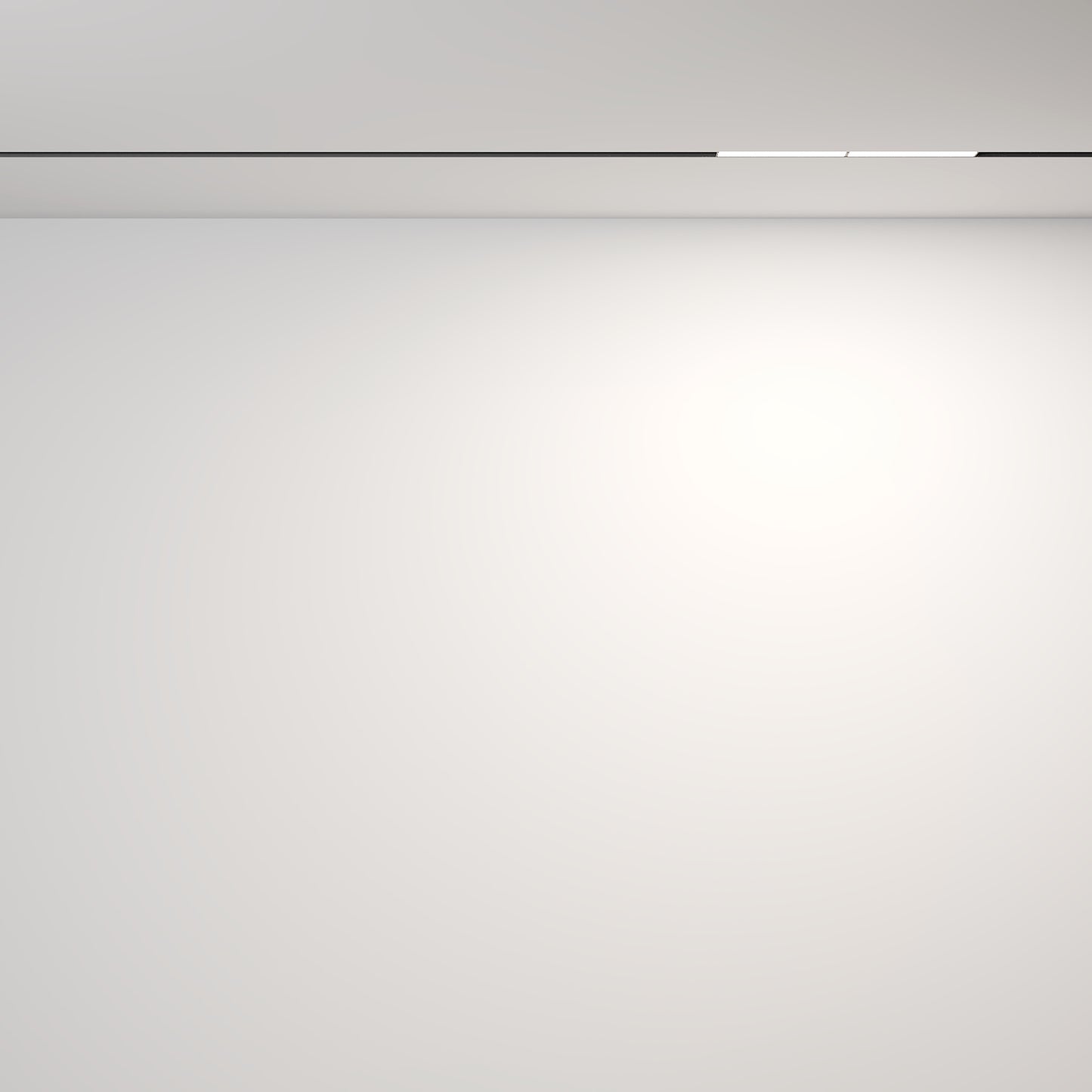 Track luminaire TR106-4-12W-DS-B