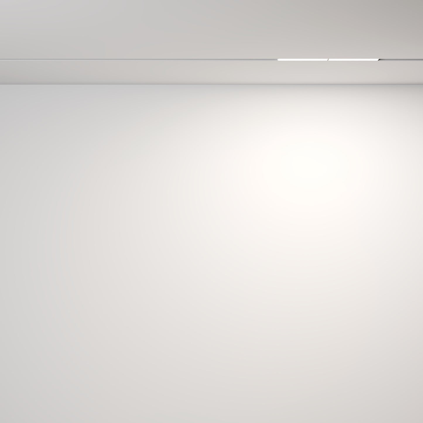 Track luminaire TR106-4-12W-DS-W