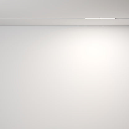 Track luminaire TR106-4-12W-DS-W