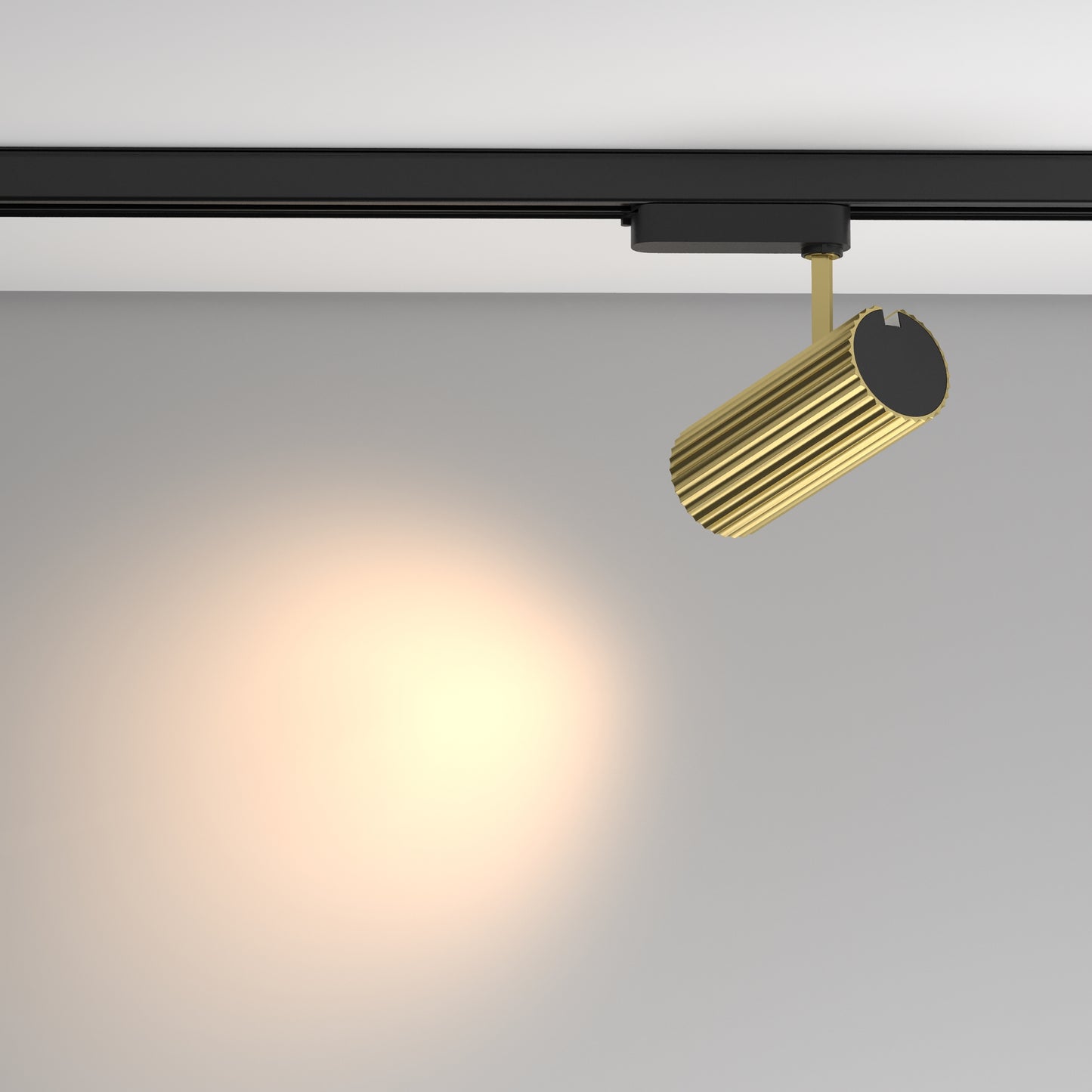 Track luminaire TR250-30W3K-BS