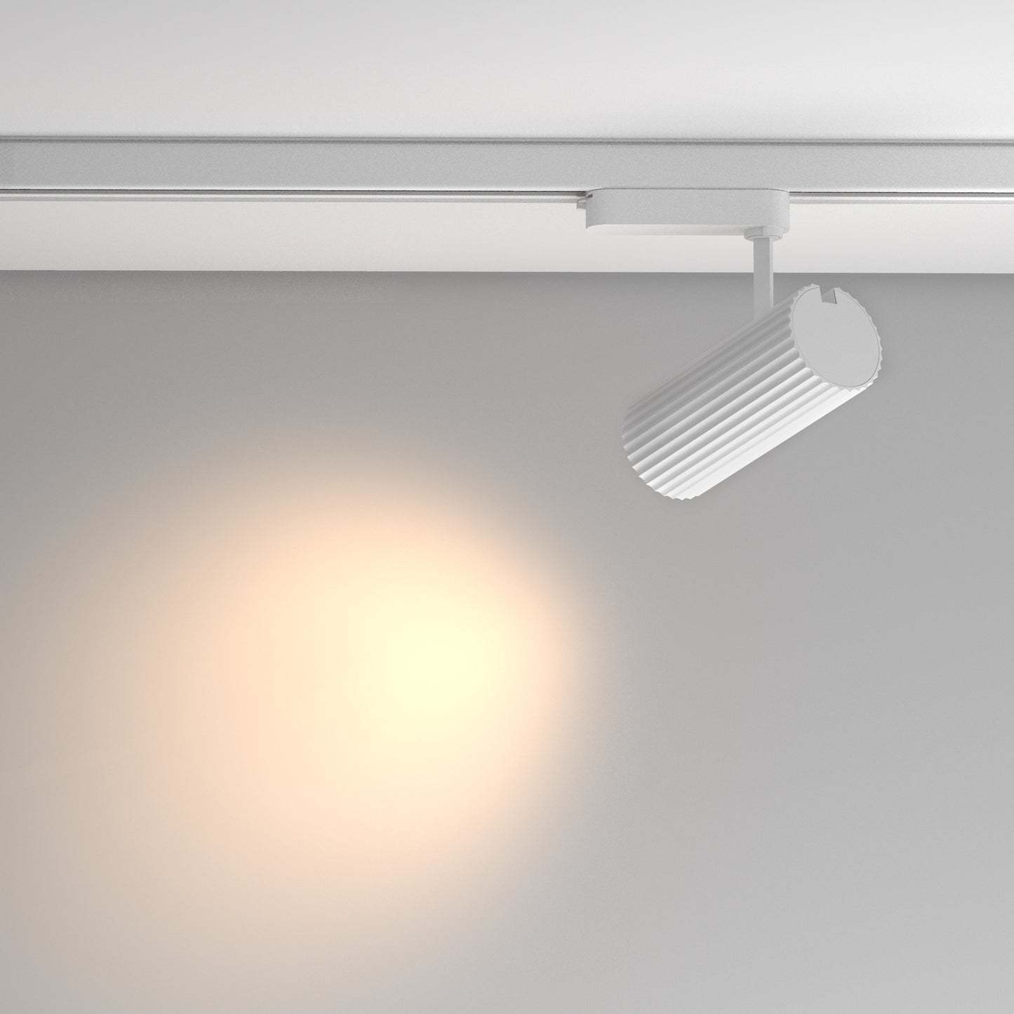 Track luminaire TR250-30W3K-W