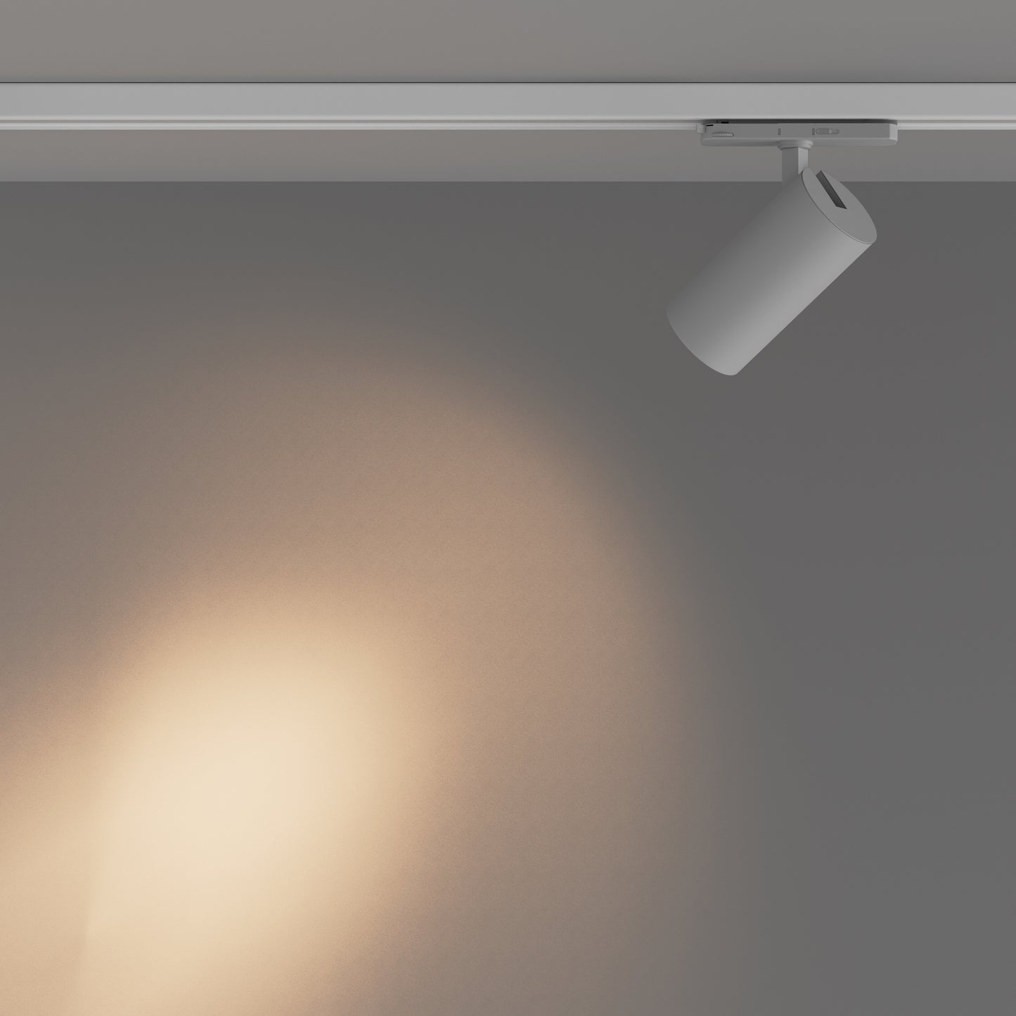 Track luminaire TR251-30W2.7-5K-W