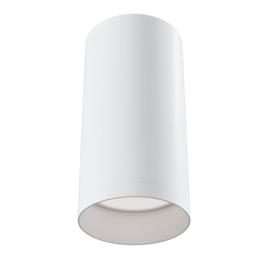 Luminaria de techo C010CL-01W