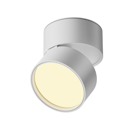 Ceiling luminaire C024CL-12W2.7K-W-1